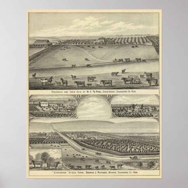 Saunders County Farms, Nebraska Poster (Front)