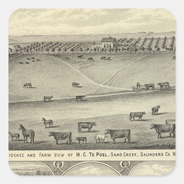 Saunders County Farms, Nebraska Square Sticker (Front)