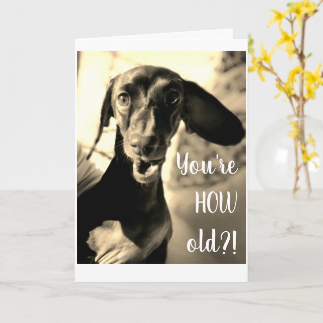 Sausage Dog Birthday Card Funny (Yellow Flower)