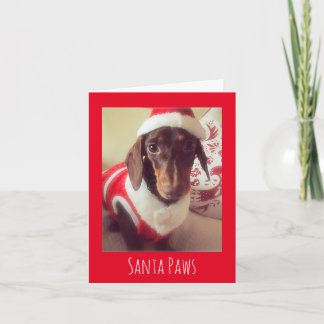 Sausage Dog Christmas Card