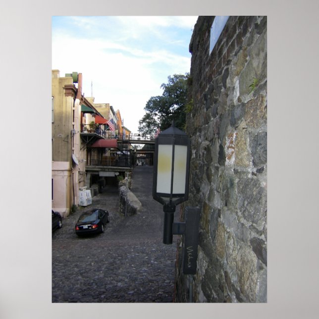 Savannah back street poster (Front)