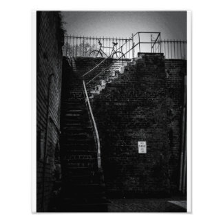 Savannah Bicycle Photo Print