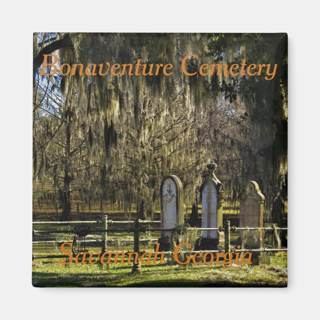 Savannah Bonaventure  magnet (Front)