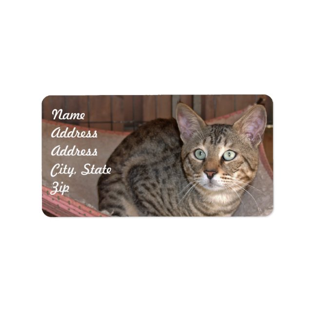 Savannah Cat Address Sticker (Front)