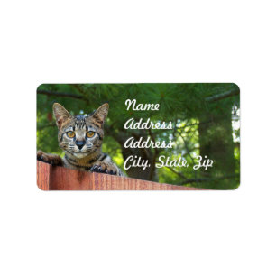 Savannah Cat Address Sticker
