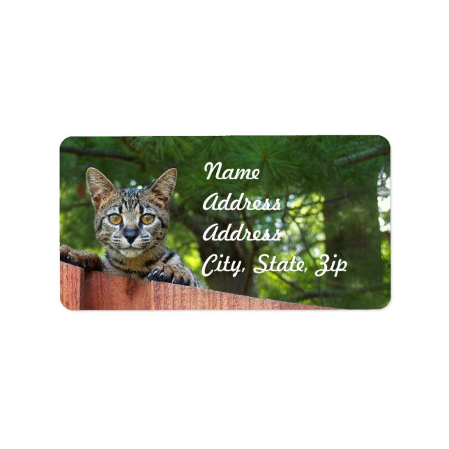 Savannah Cat Address Sticker (Front)