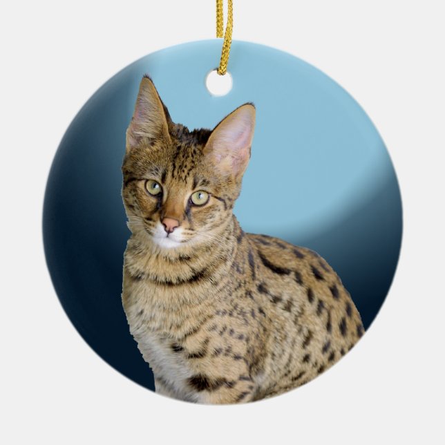 Savannah Cat Ceramic Ornament (Front)