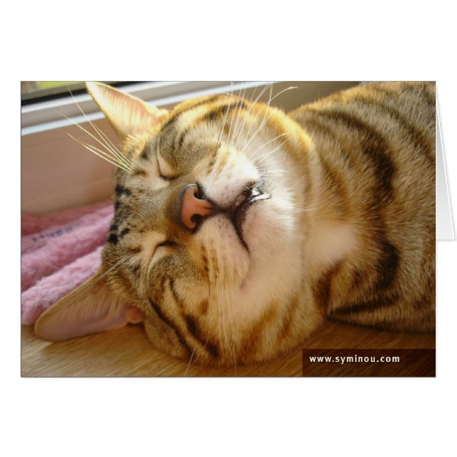 Savannah Cat deep-sleep Card (Front Horizontal)