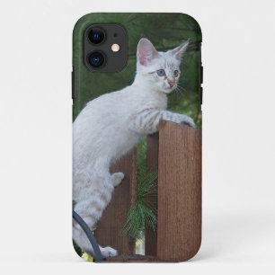 Savannah Cat iPhone 5 Case-Mate Barely There 11 Case