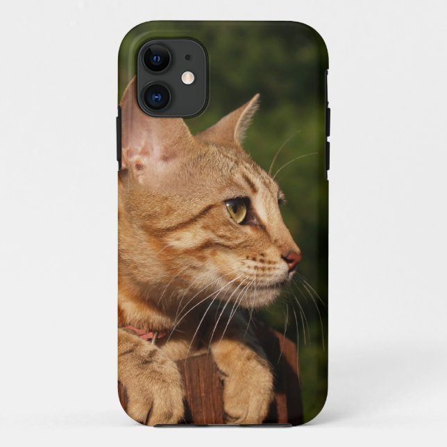 Savannah Cat  iPhone 5 Case-Mate Barely There Case (Back)