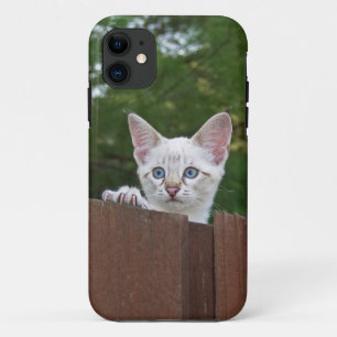 Savannah Cat iPhone 5 11 Case