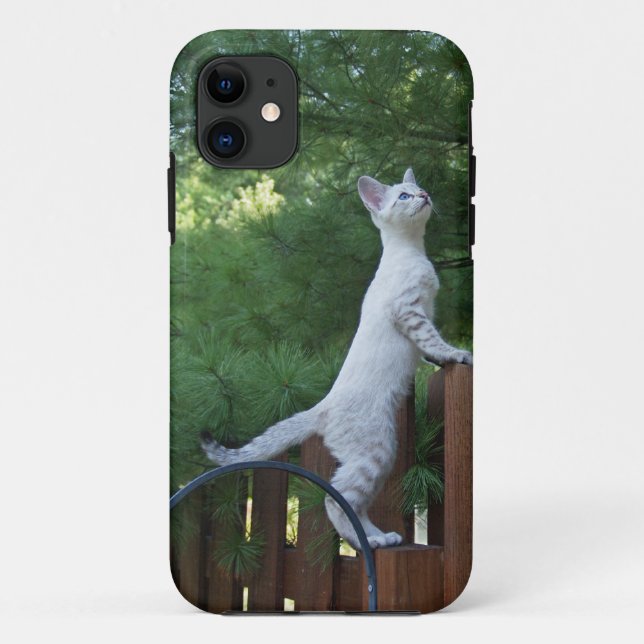 Savannah Cat iPhone 5 Custom Case-Mate ID Case (Back)