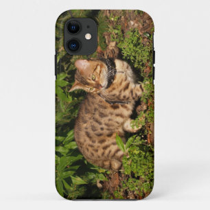 Savannah Cat iPhone 5 Custom Case-Mate ID 11 Case