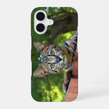 Savannah Cat Phone Case