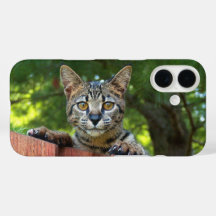 Savannah Cat Phone Case