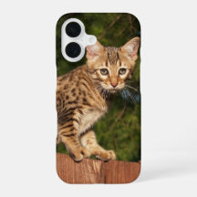 Savannah Cat phone Case