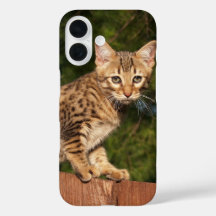 Savannah Cat phone Case