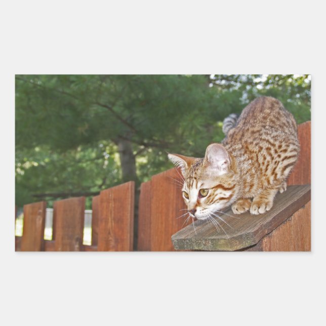 Savannah Cat Rectangle Sticker (Front)
