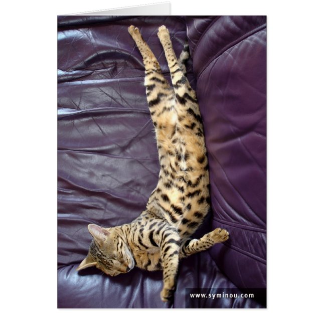 Savannah Cat Sleeping Card (Front)