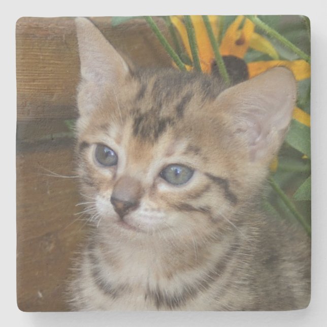 Savannah Cat Square Coaster (Front)