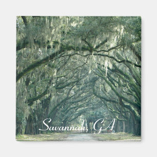 Savannah, GA Magnet