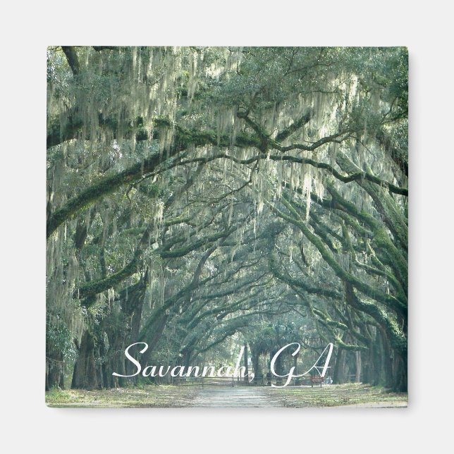 Savannah, GA Magnet (Front)