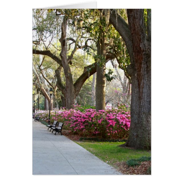 Savannah Georgia in Spring Forsyth Park Azaleas Oa (Front)