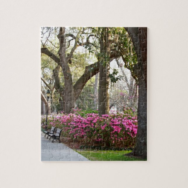 Savannah Georgia in Spring Forsyth Park Azaleas Oa Jigsaw Puzzle (Vertical)