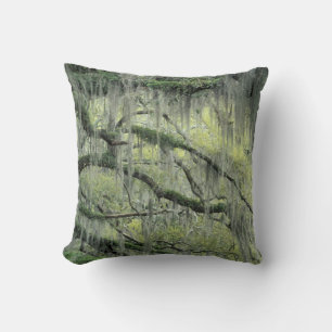 Savannah, Georgia, Live Oak tree draped with Cushion