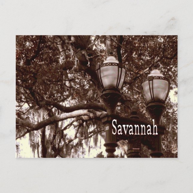 Savannah Georgia Postcard (Front)