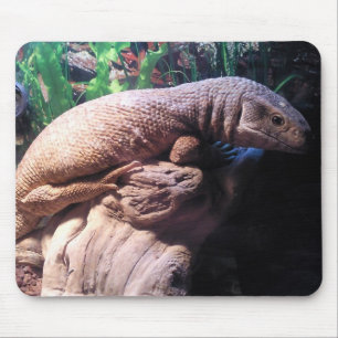 Savannah Monitor Mouse Pad