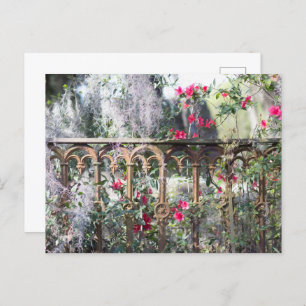 Savannah Post Card Laurel Grove
