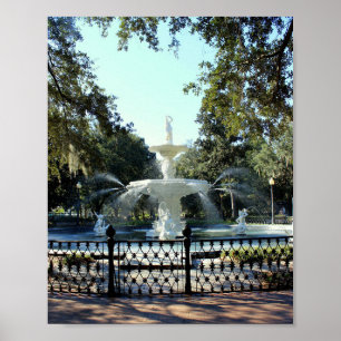 Savannah Series: Fountain Poster