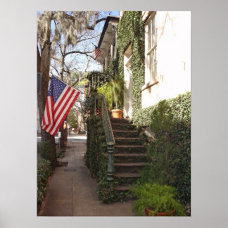Savannah Staircase Framed Print
