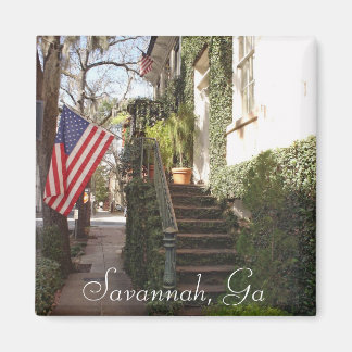 Savannah Staircase Magnet