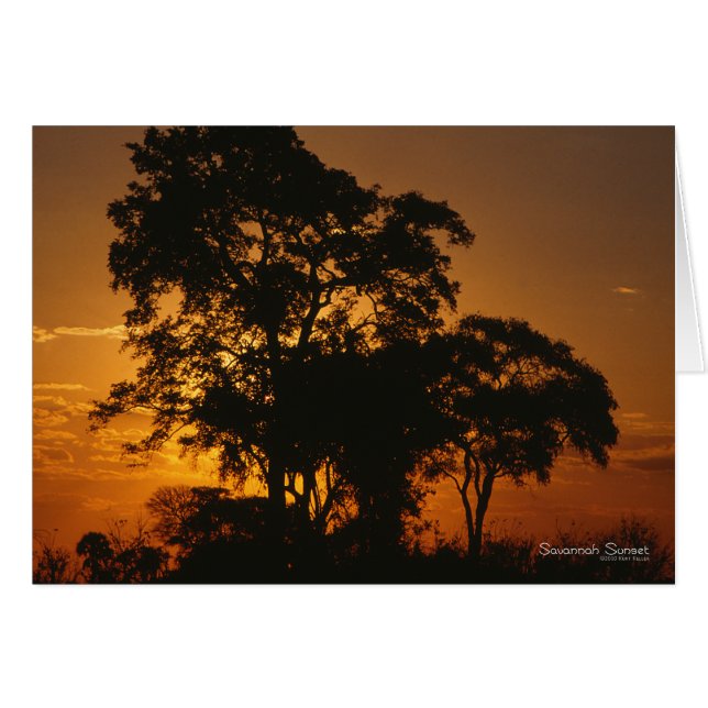 Savannah Sunset (Front Horizontal)