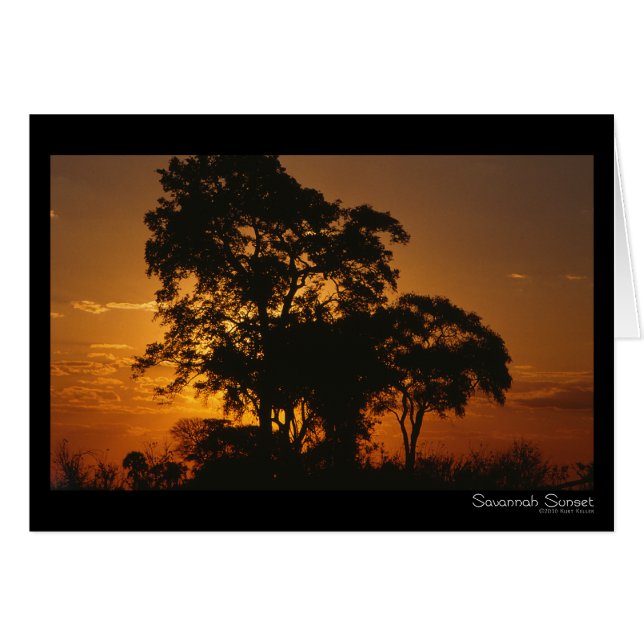 Savannah Sunset Card (Front Horizontal)