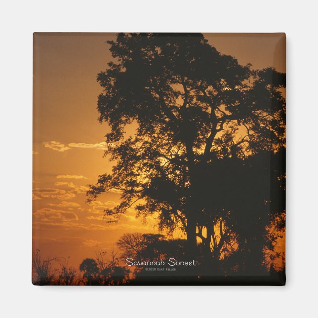 Savannah Sunset Magnet (Front)