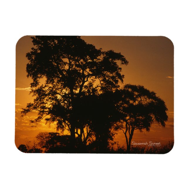 Savannah Sunset Photo Magnet (Horizontal)