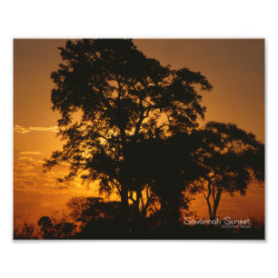 Savannah Sunset Photo Print