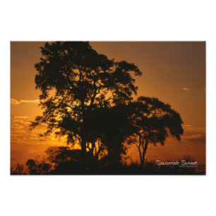 Savannah Sunset Photo Print