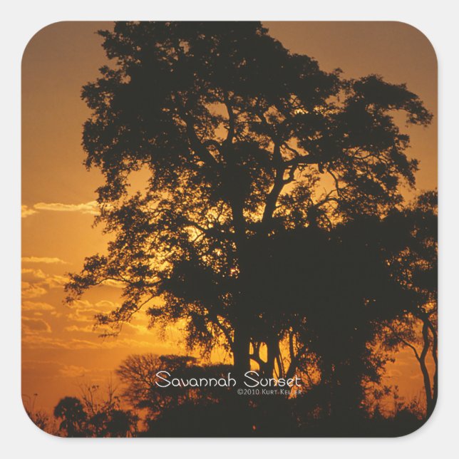 Savannah Sunset Square Sticker (Front)