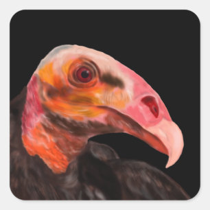 Savannah Vulture Square Sticker