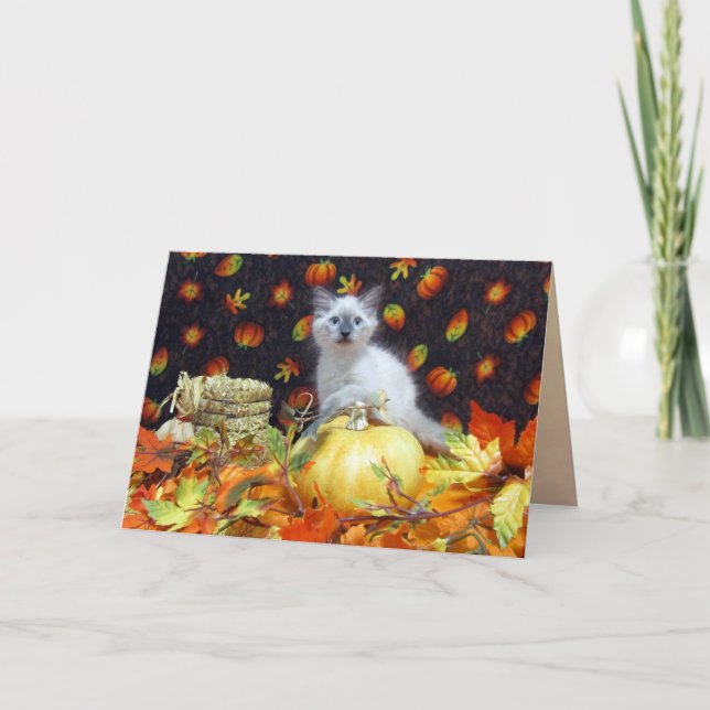 Savannah's (Cat / Kitten) Fall / Thanksgiving Card (Front)