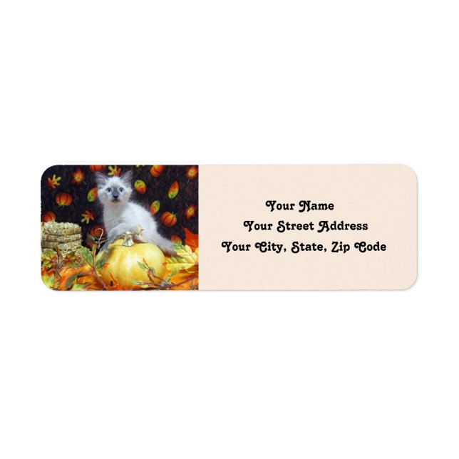 Savannah's Fall Address Labels - Cute Cat (Front)
