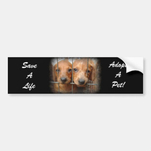 Save A Life Adopt A Pet Bumper Sticker