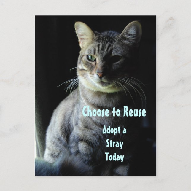 Save A Life! Adopt A Shelter Pet! Postcard (Front)