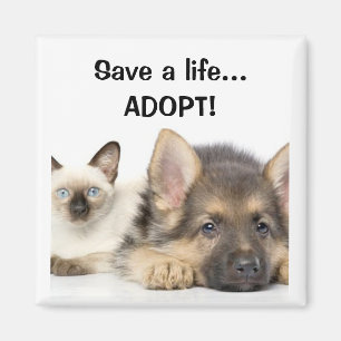 Save a life... ADOPT! Magnet