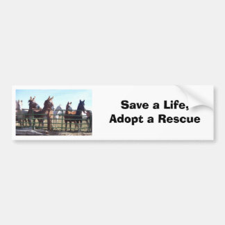 Save A Life Bumper Sticker
