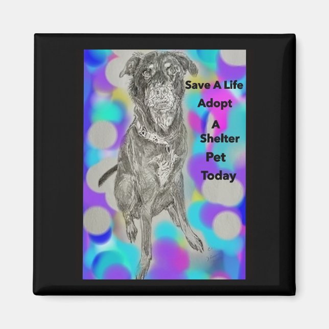 Save A Life Pet Message Magnet (Front)